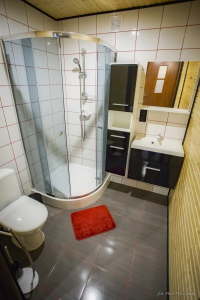 Tak prezentuje się łazienka w domku letniskowym Domki DOLPAKART (ul. Wojska Polskiego 19, 72-351 Pogorzelica)