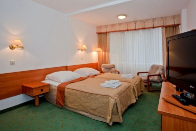 Hotel Interferie Sport Hotel BORNIT - łóżko w pokoju