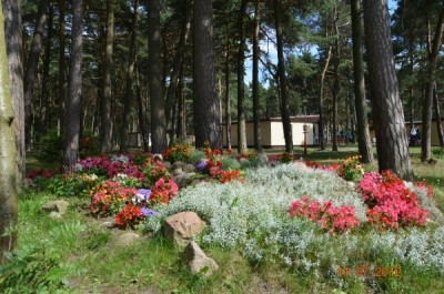 Przy ośrodku wczasowym KOMANDOR (ul. Kapitańska 2, 72-351 Pogorzelica) znajduje się widoczny na fotografii ogród