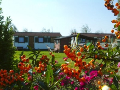 Na zdjęciu widzimy ogród przy domku letniskowym Domki OSTOJA w Rewalu