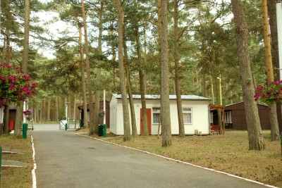 Przy domku letniskowym CAMPING PIK (ul. Wojska Polskiego 4, 72-351 Pogorzelica) znajduje się widoczny na zdjęciu ogród