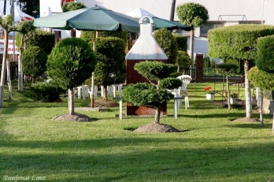 Widok na ogród, jakim dysponuje pensjonat Pensjonat LENA(ul. Kościuszki 1, Rewal|nad morzem|zachodniopomorskie)