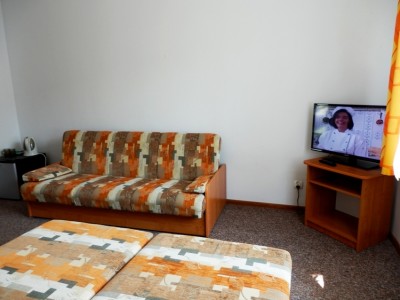 Zdjęcie przedstawia kanapa rozkładana w pokoju - Dom Gościnny GOŁĄBEK | Niechorze (wypoczywaj nad morzem) 