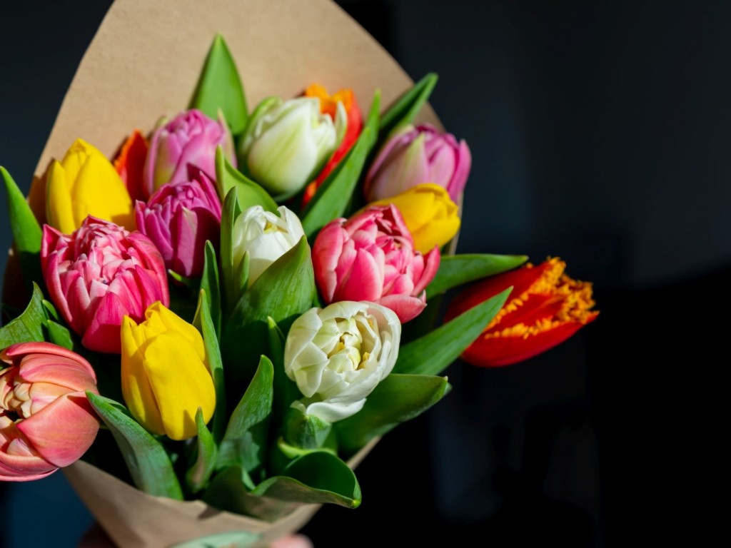 tulipany na dzień kobiet