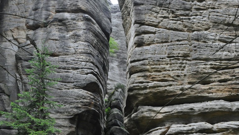 Formy skalne na Szczelińcu Wielkim (14 km)