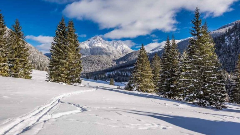 Zimowe trasy w górach – łatwe i przyjemne szlaki dla początkujących w Tatrach, Beskidach i Sudetach!